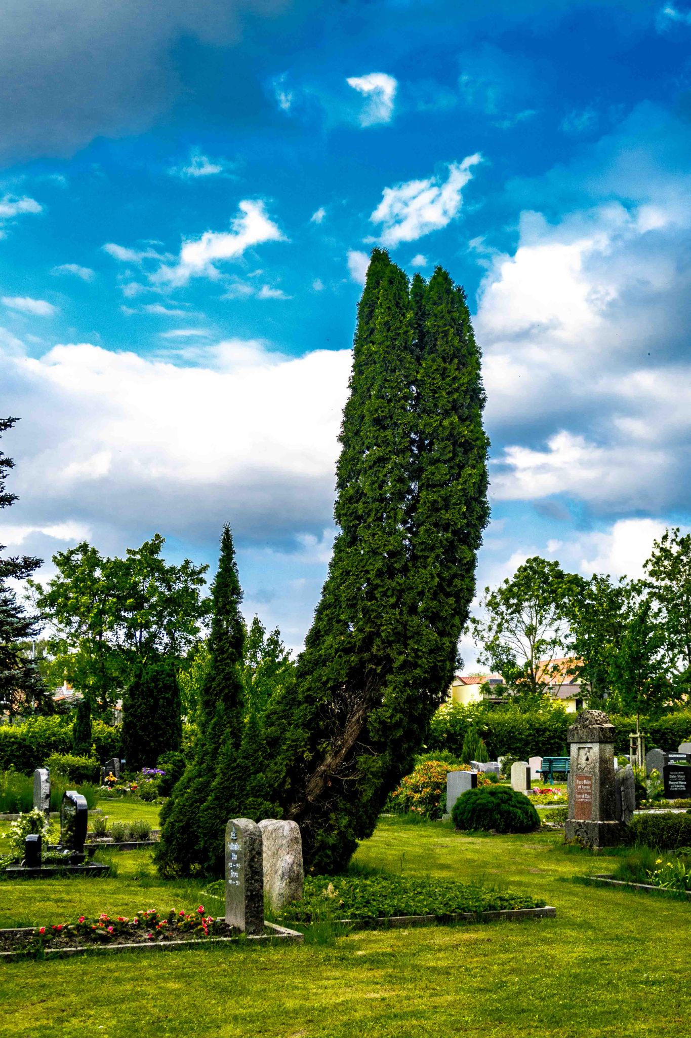 Friedhof