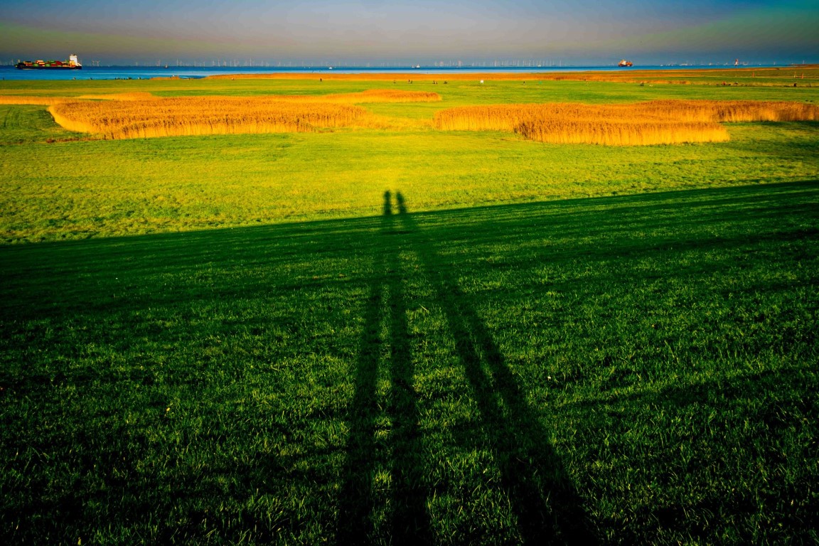Maritimes