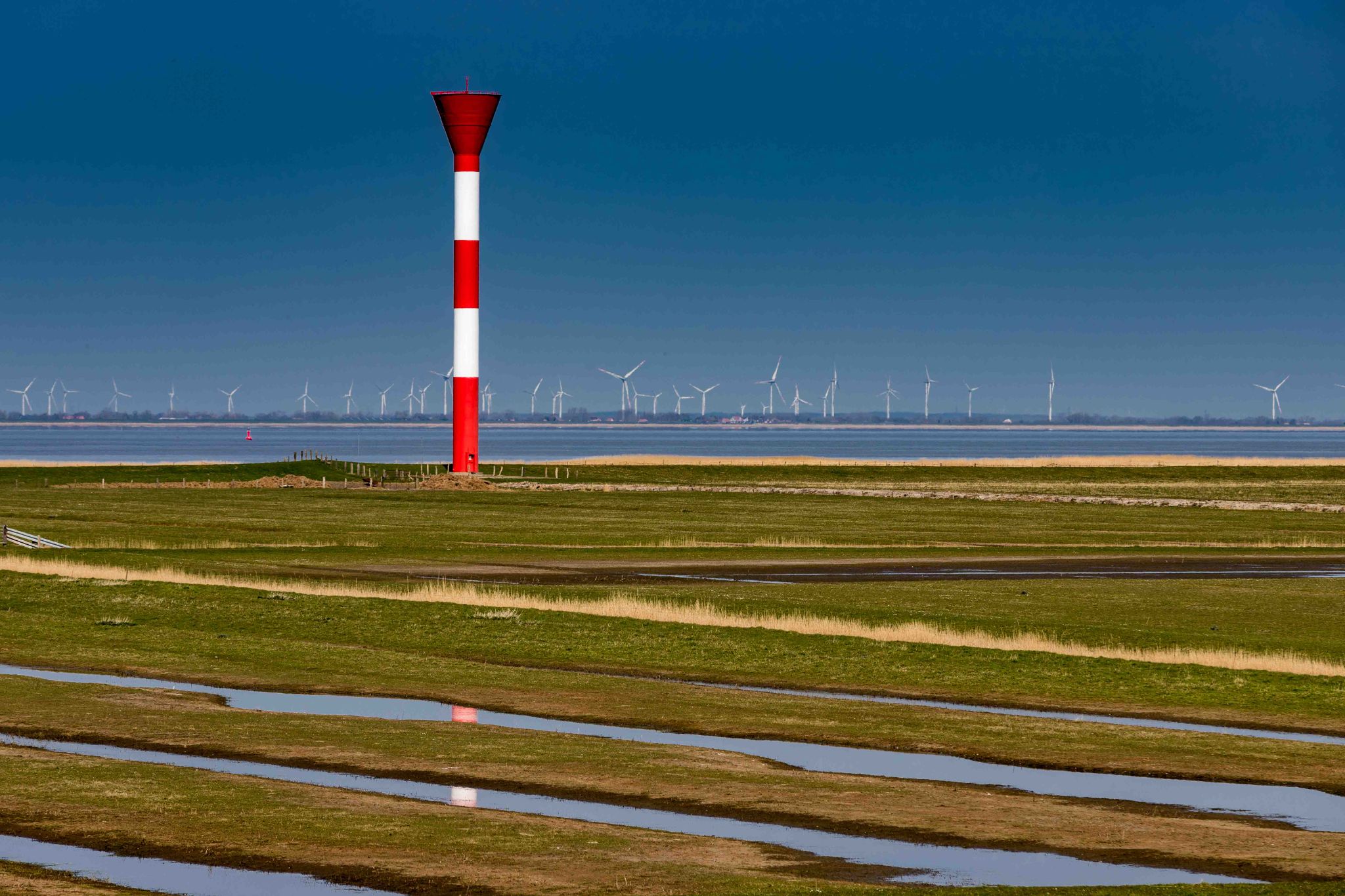 Deichvorland Elbe