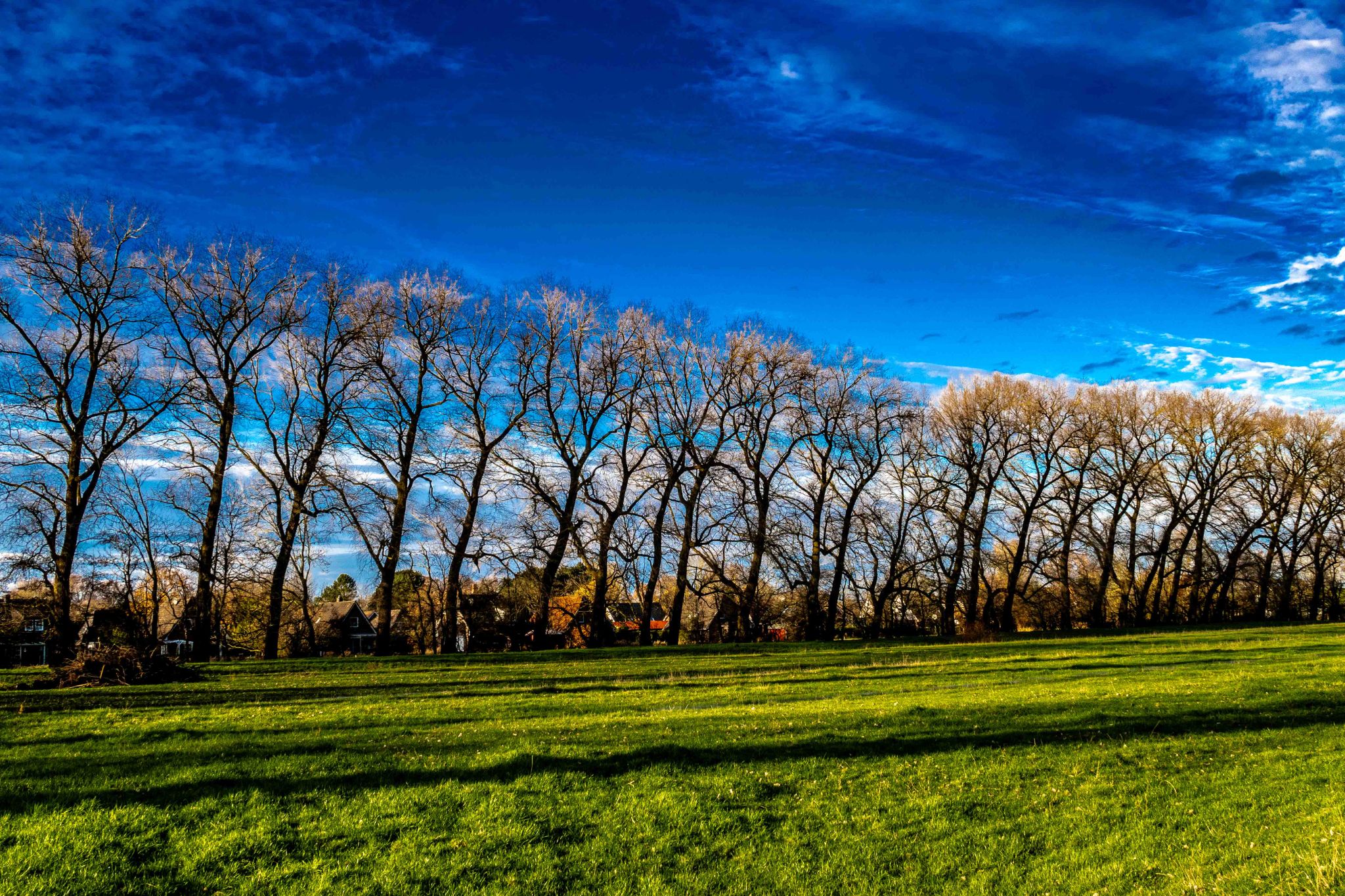 Natur