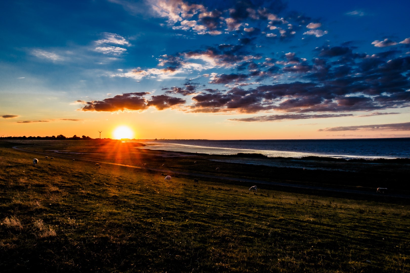 Sonnenuntergang an der Elbe