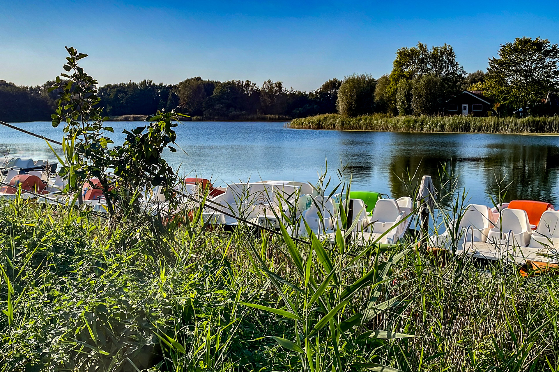Wassersport