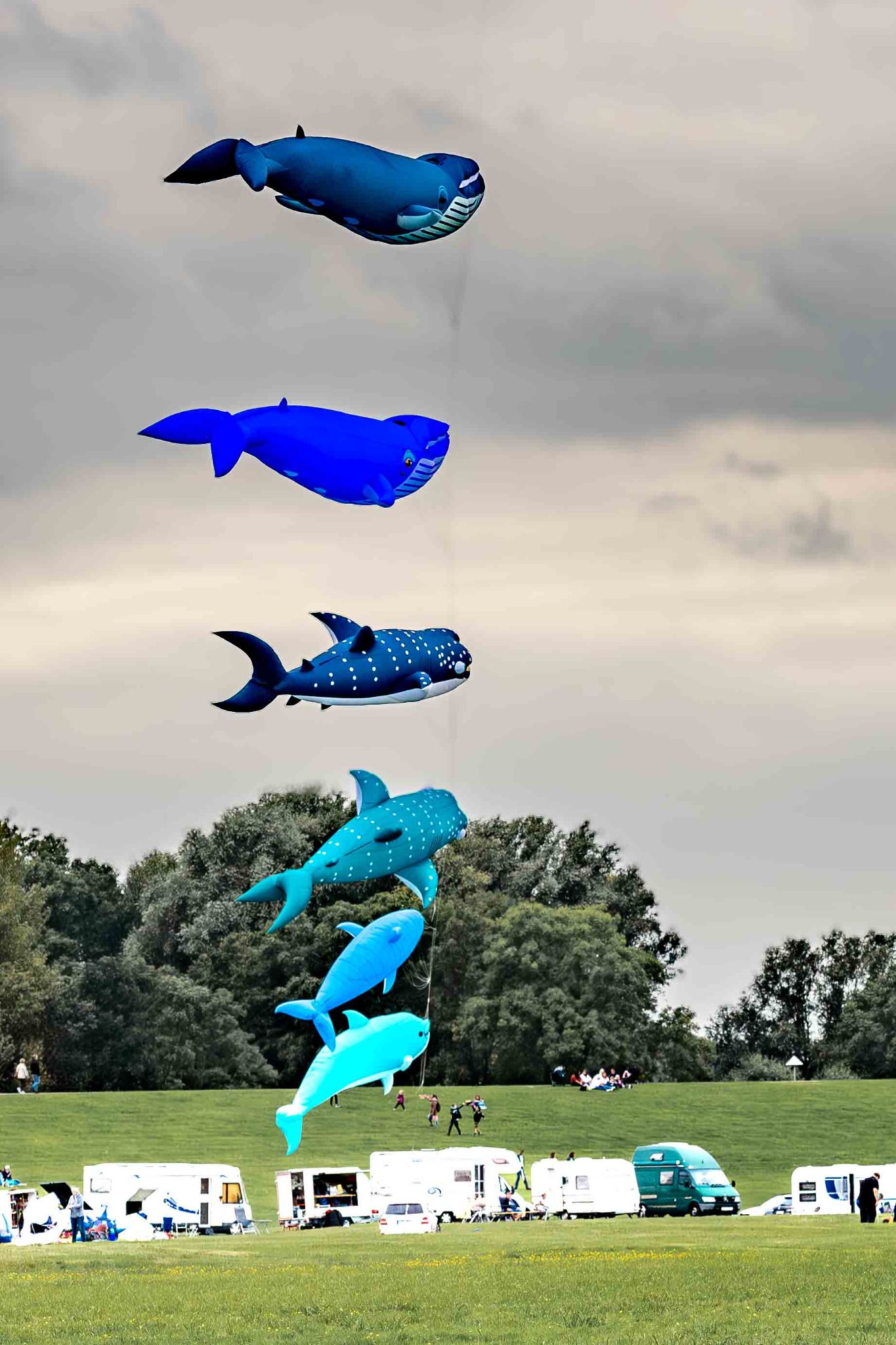 Drachenfest 2020