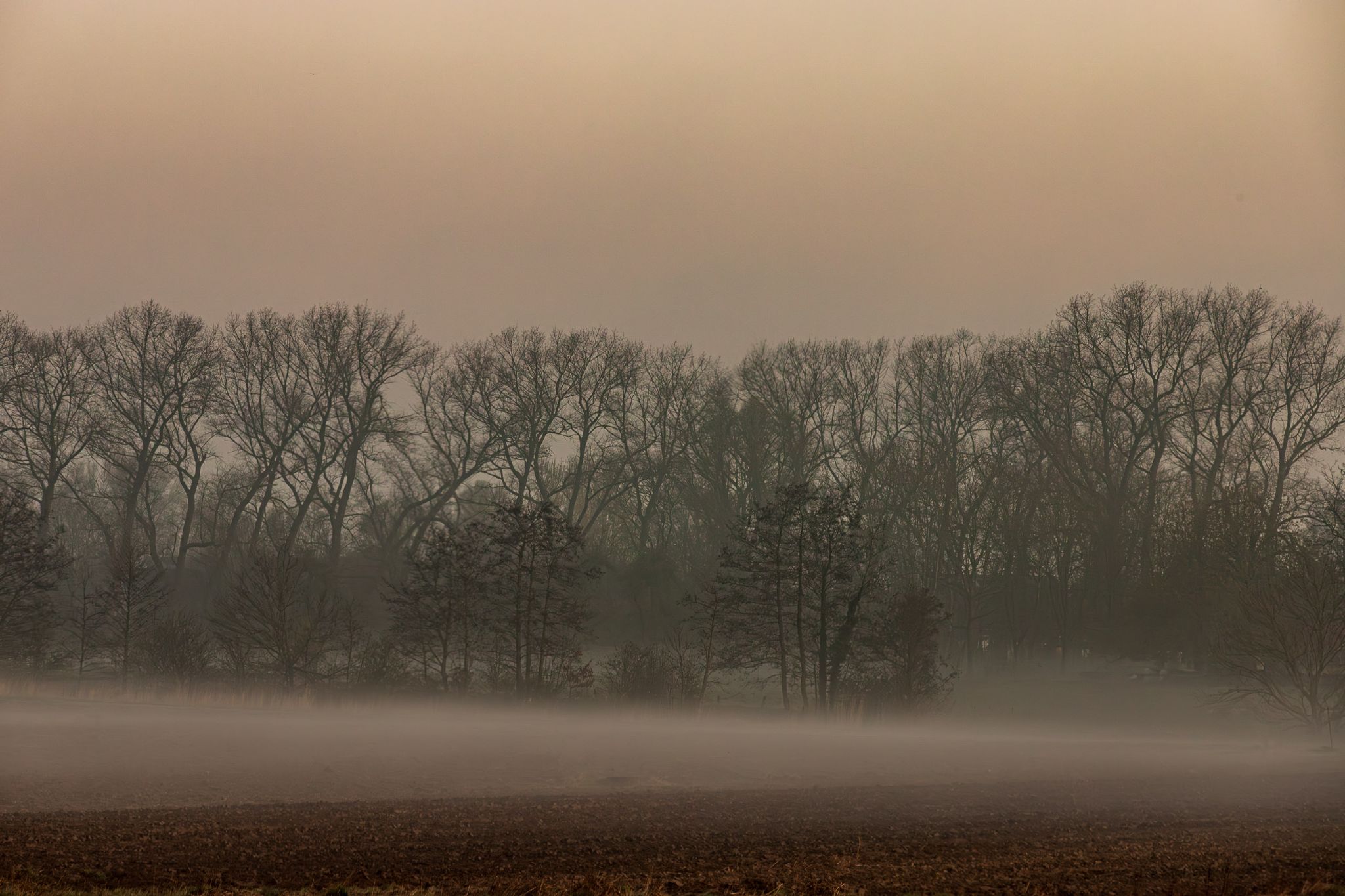 Herbst