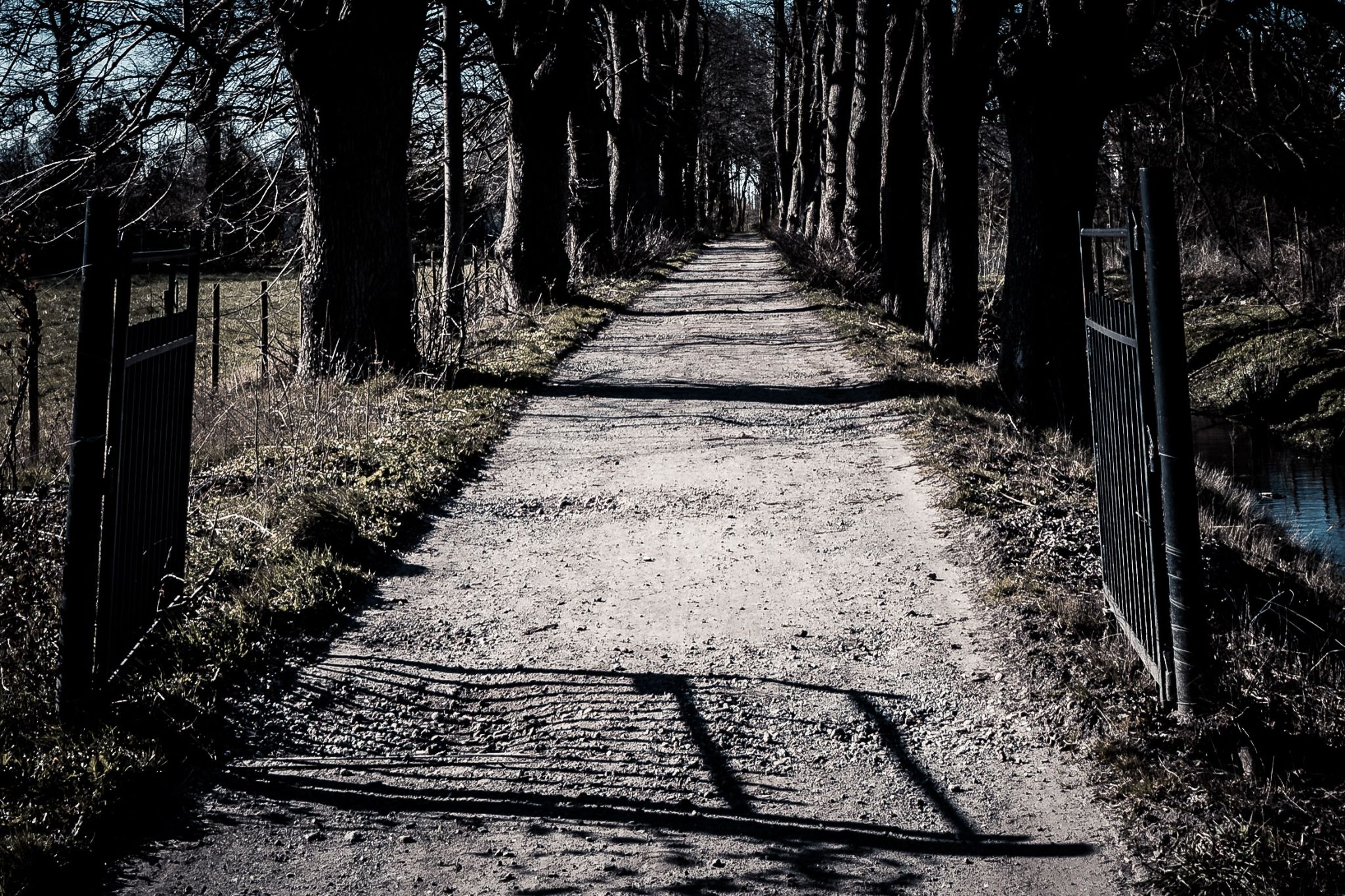 Allee