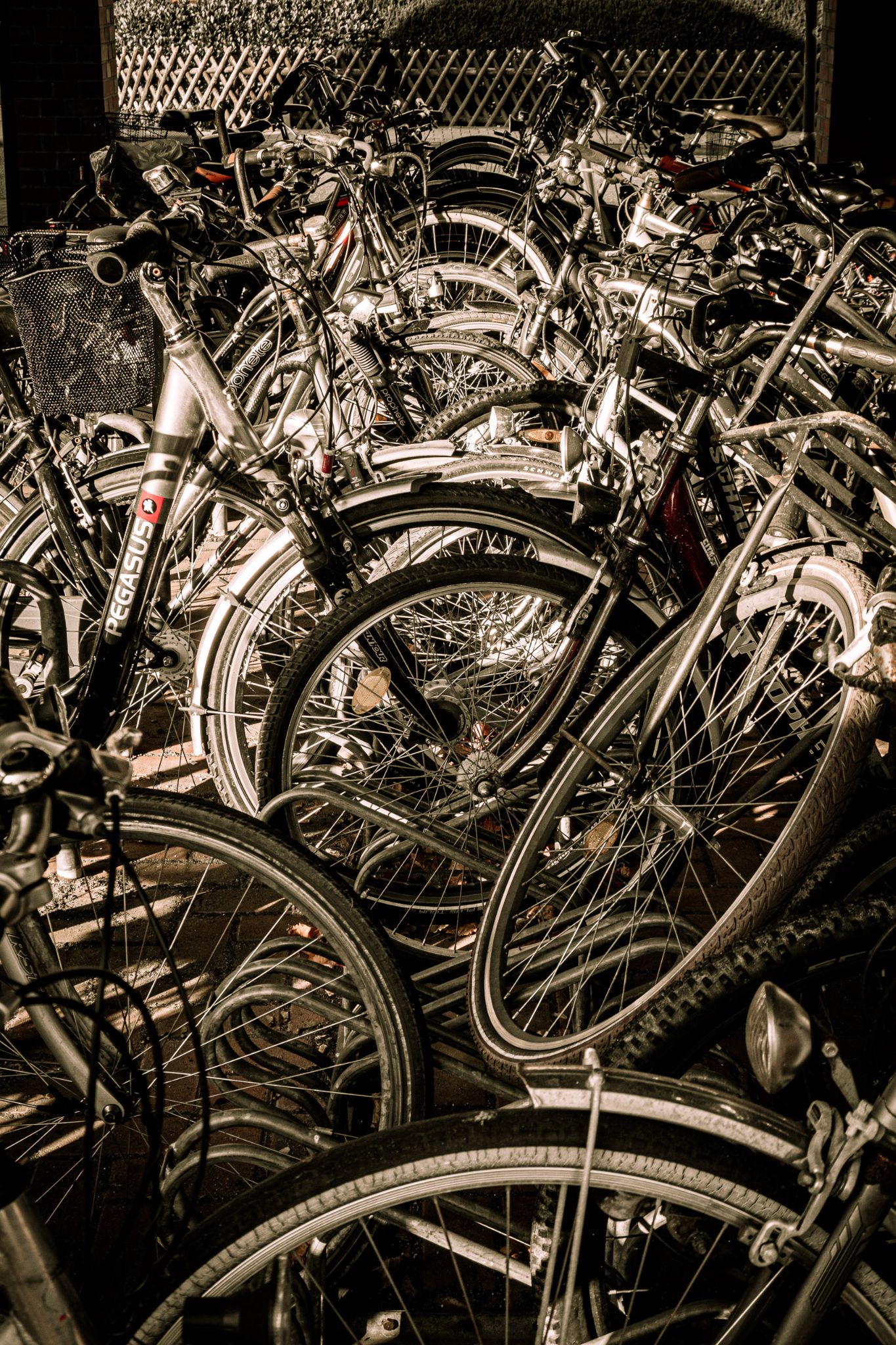 Radfahren II