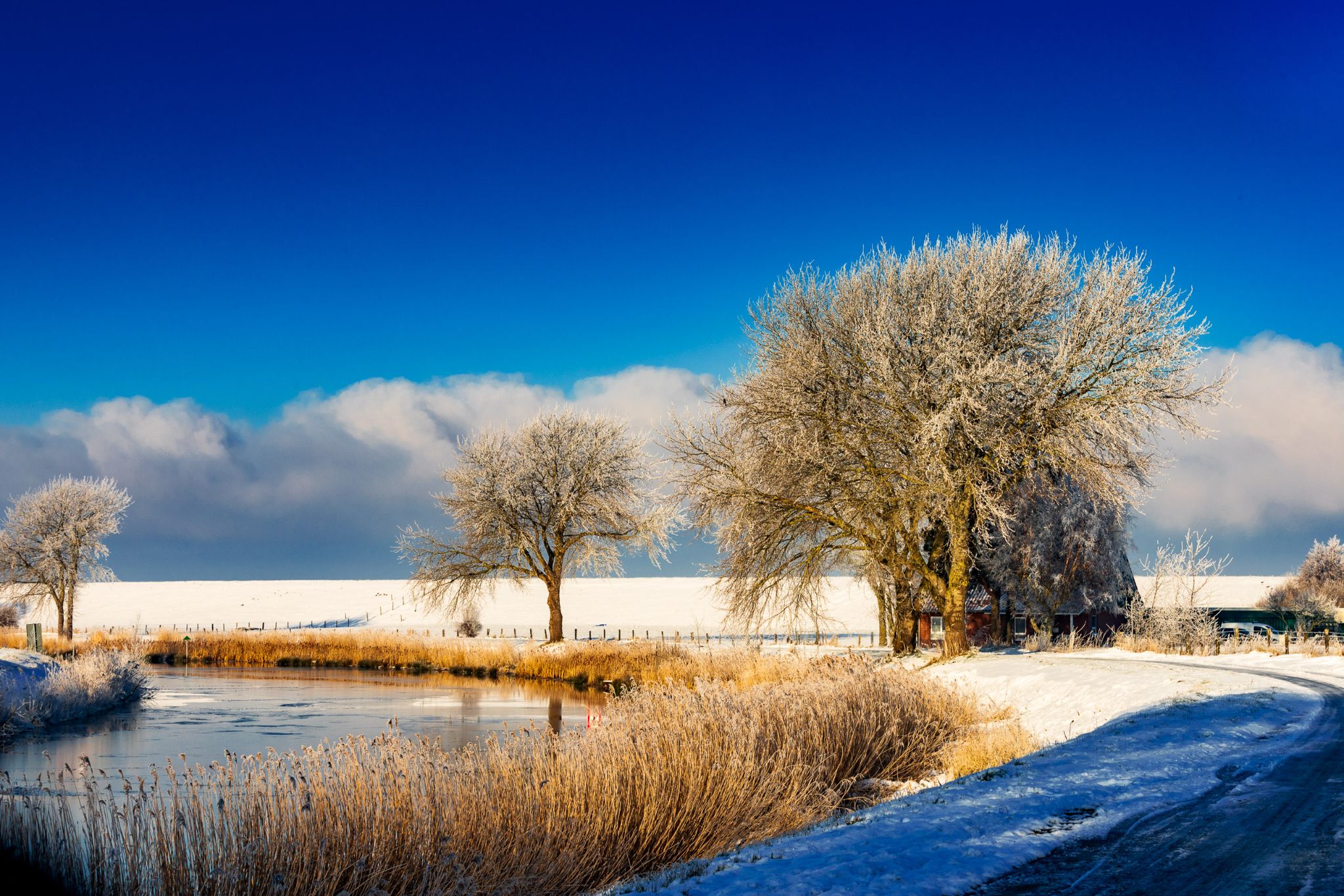 Winterlandschaft